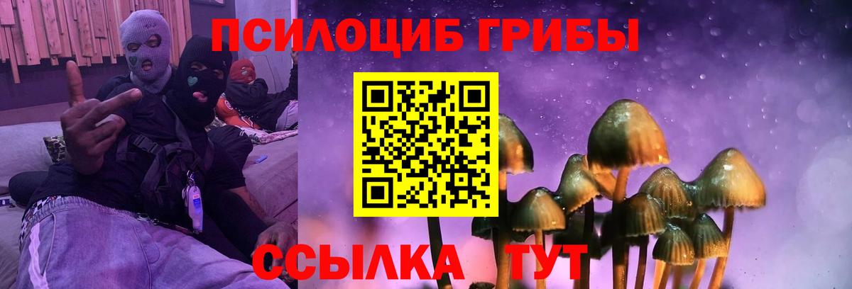 Псилоцибиновые грибы Cubensis  сколько стоит  Рузаевка  Вход с VPN 